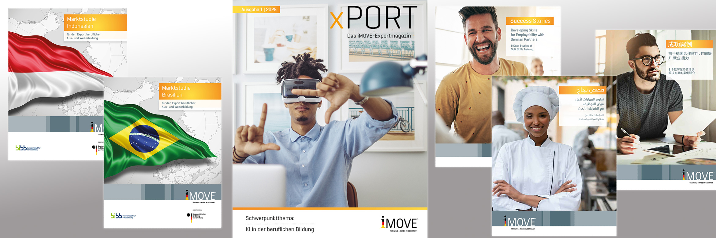 Collage aus Titelbildern verschiedener iMOVE-Publikationen