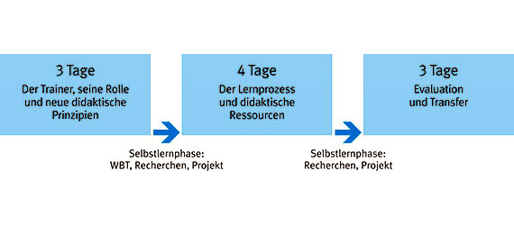 Infografik visualisiert den folgenden Text