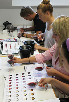 drei junge Frauen und ein Mann vergleichen während des Unterrichts die Farbe des Weins mit Farbtafeln