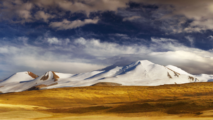 Steppenlandschaft mit schneebedeckten Bergen im Hintergrund