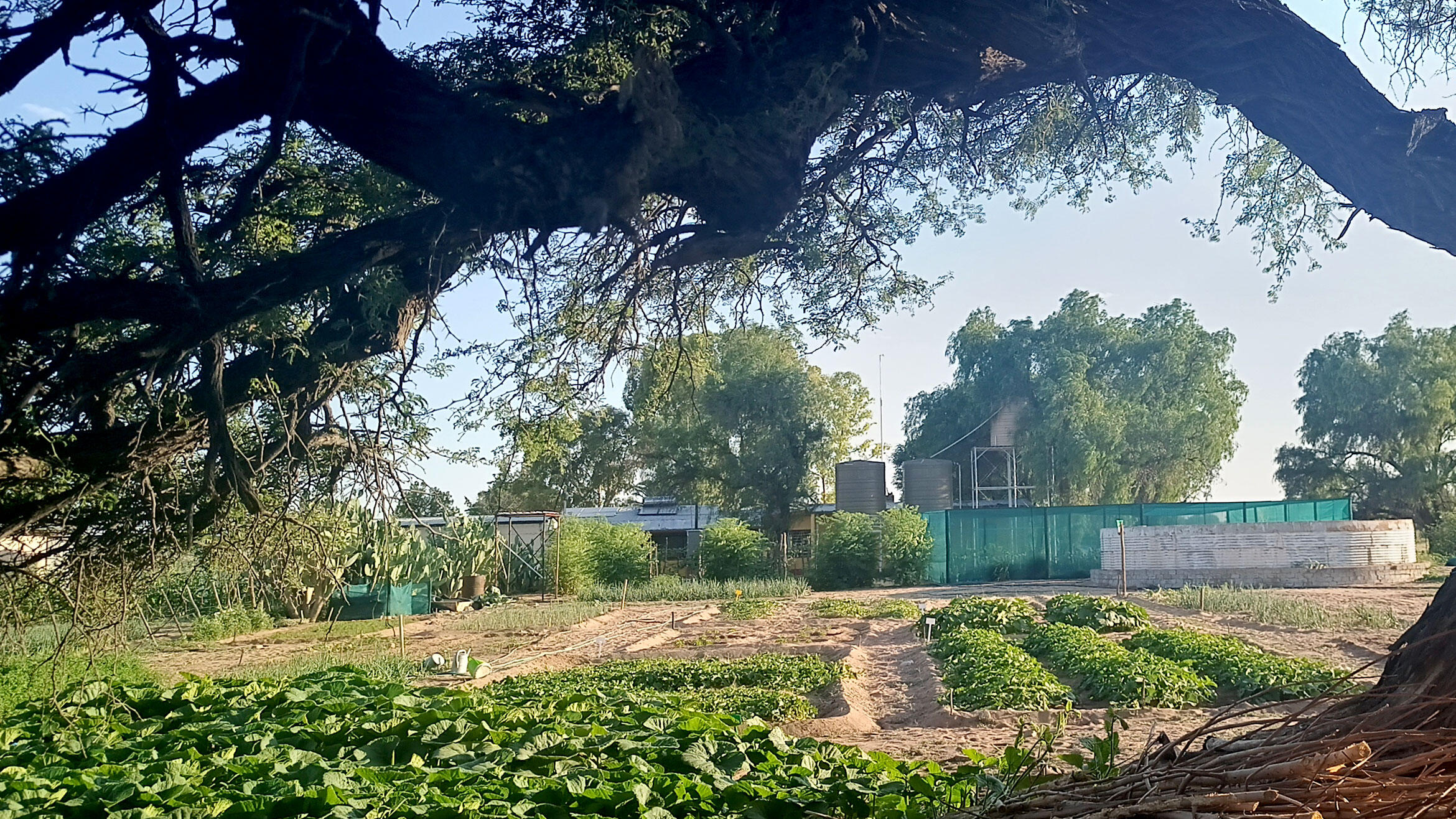 View from the distance across fields to the farmstead	