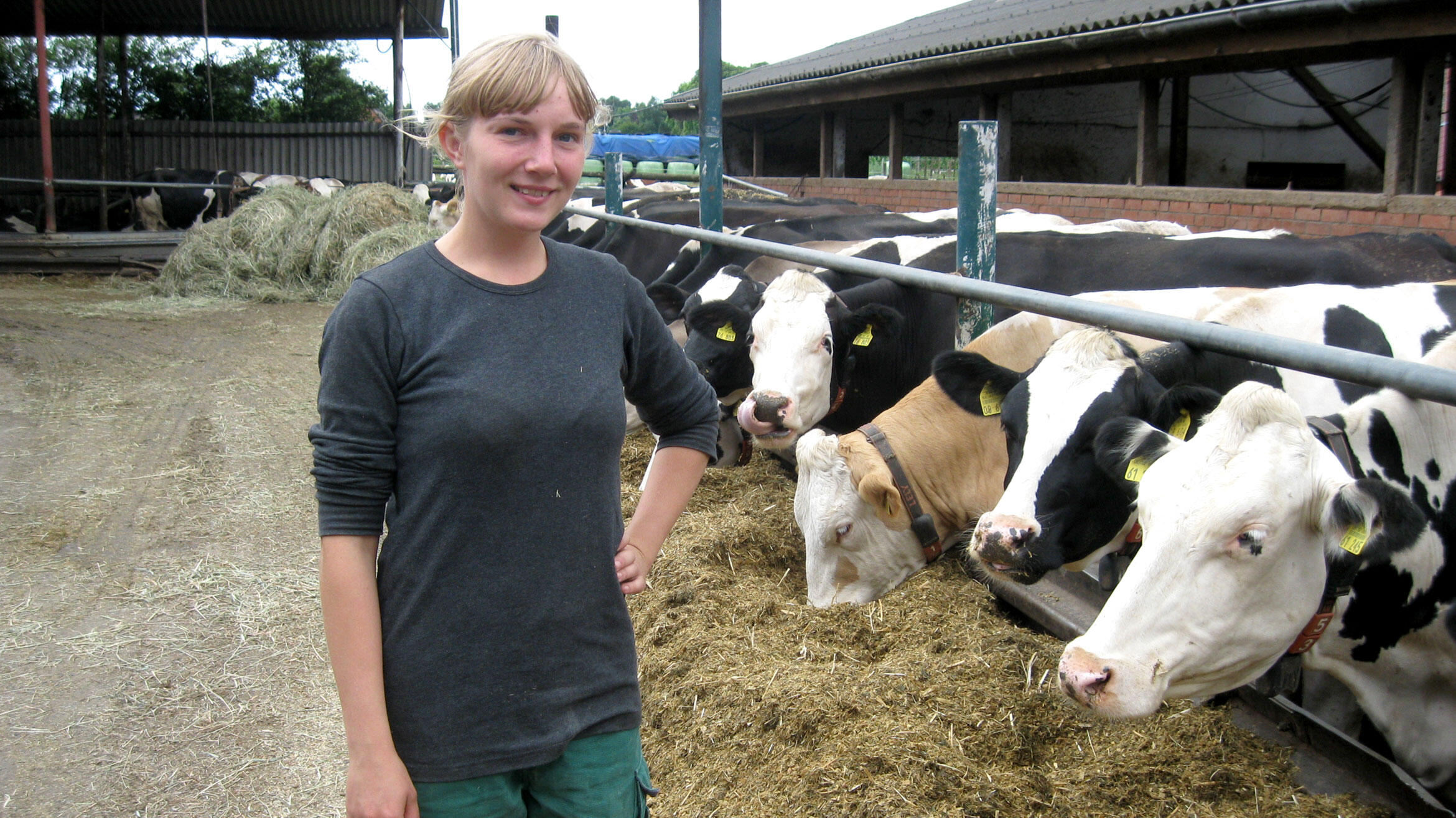 woman standing by eating cows