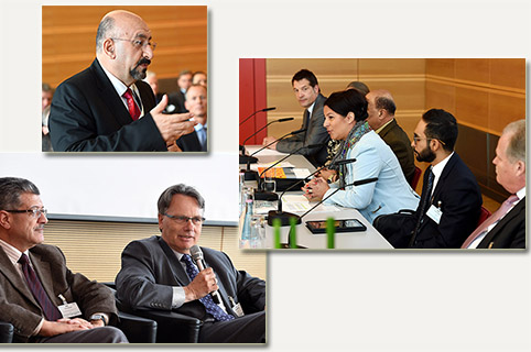 collage of three pictures from the photo gallery