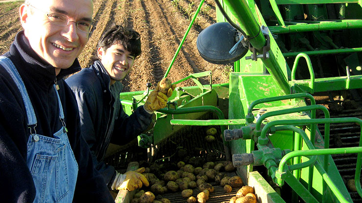 two men at potato harvesting machine